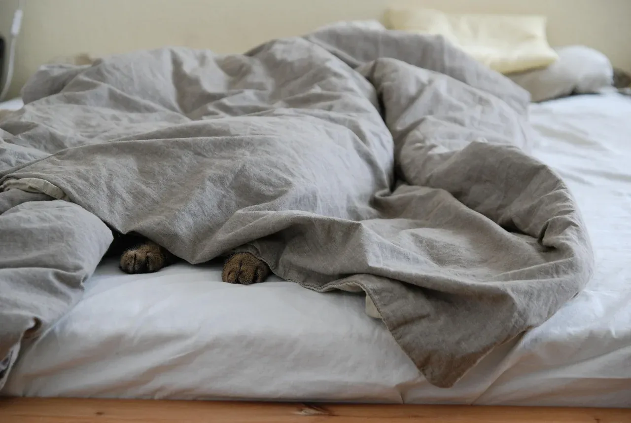 Cat's paw peeking from beneath grey bedding
