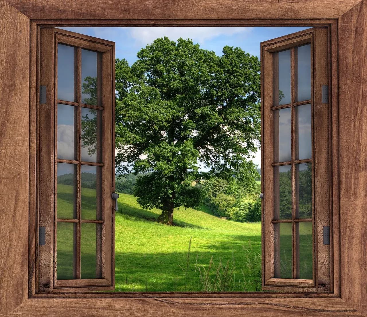 Open wooden window looking onto a garden