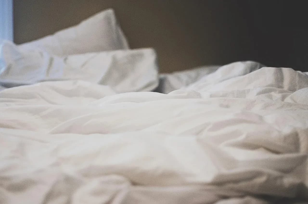 White pillows against a dark headboard